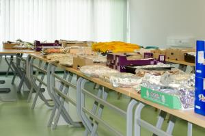 Srečanje Šempetrov 2016 (2)